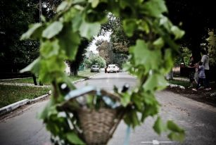 Ania i Karol-21-w1240.jpg